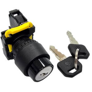 2 Position Key Selector Switch Non-Drawable T2K2N10 Auspicious