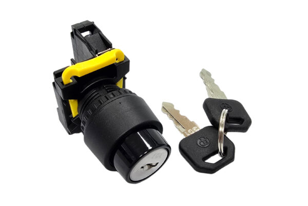 2 Position Key Selector Switch Non-Drawable T2K2N10 Auspicious