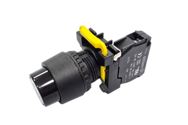 2 Position Key Selector Switch Non-Drawable T2K2N10 Auspicious - Image 2
