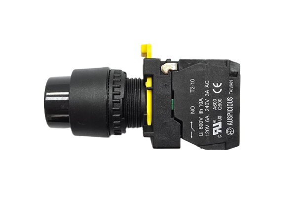 2 Position Key Selector Switch Non-Drawable T2K2N10 Auspicious - Image 3