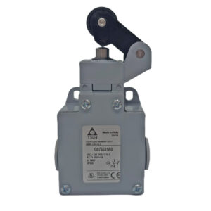 Roller Plunger Switch Metal Body 1NO 1NC C075531A0 TER